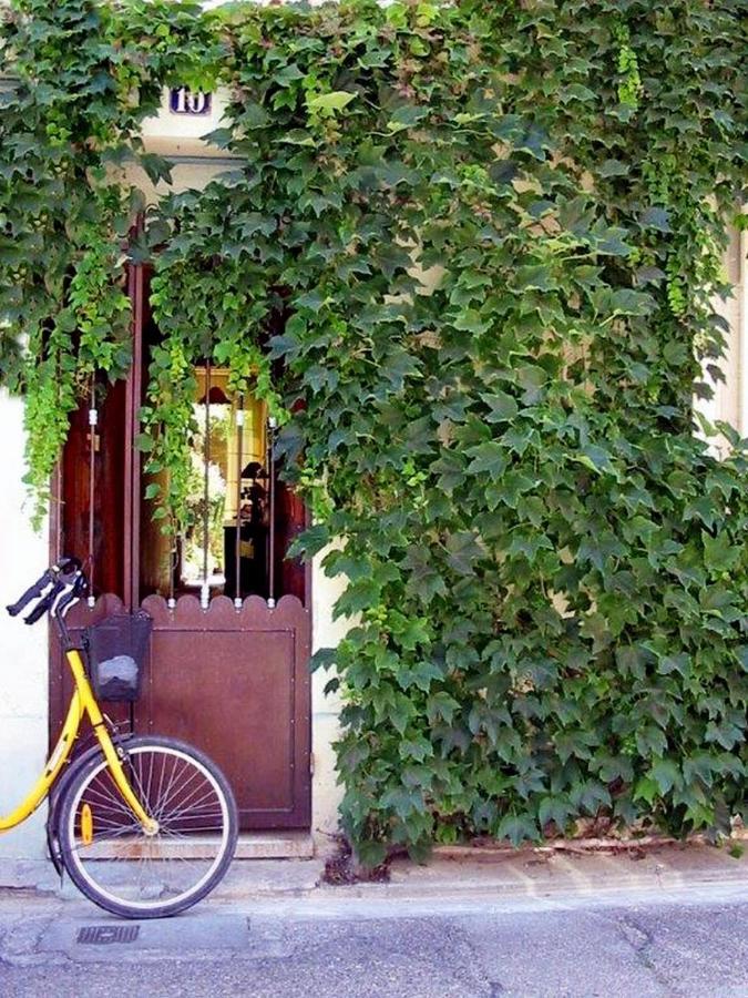 Chambre D'Hote Farniente Aigues-Mortes Exterior foto